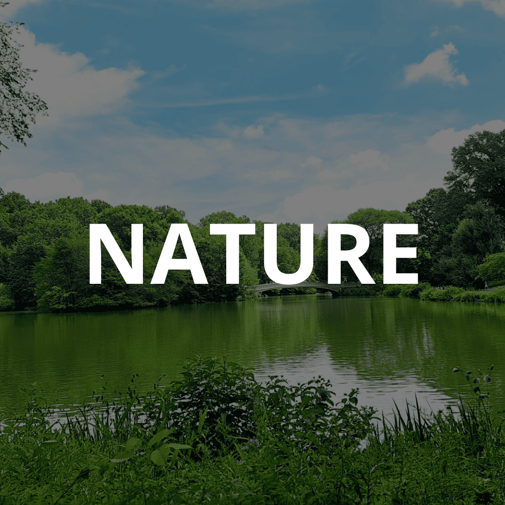 nature (1)